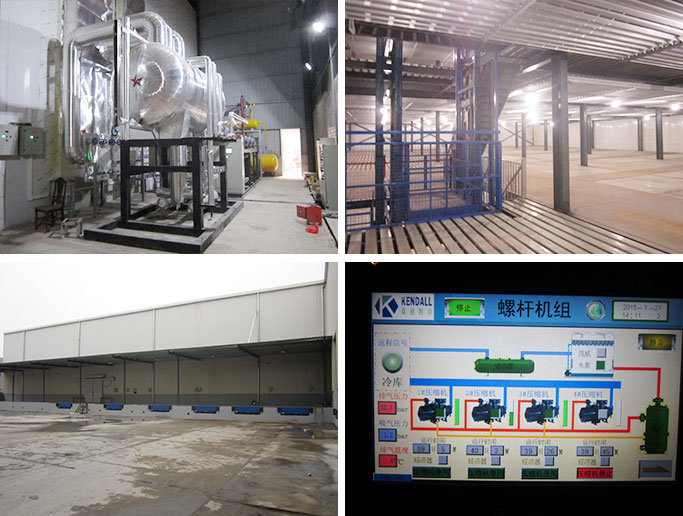 Jiangsu Changzhou Ruziniu Co. Large Cold Storage Project